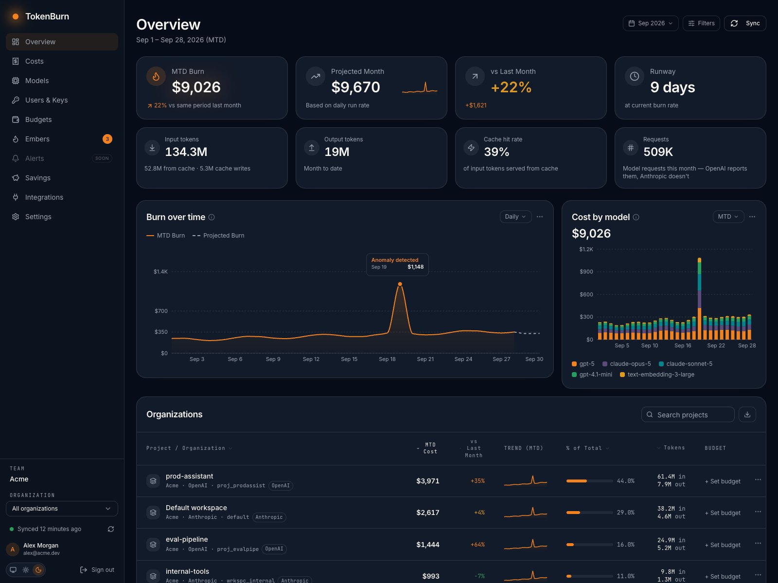 TokenBurn dashboard showing MTD burn, projected month-end, cost by model, tokens, and detected embers